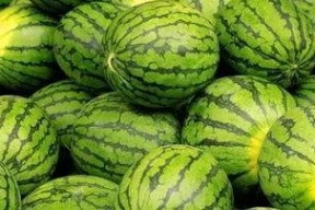 每日大赛 吃瓜入口,吃瓜入口，揭秘娱乐圈幕后风云